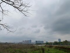 -光明小镇欢乐田园