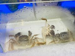 -加餐海鲜自助(宝龙一城店)