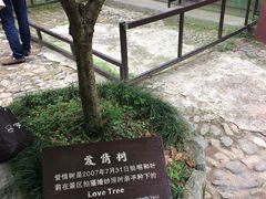 -太湖源风景区
