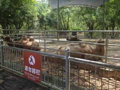 -广东茂名森林公园