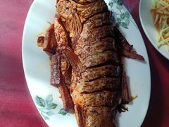 -南窖乡水峪村山情农家