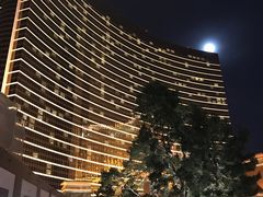 -拉斯维加斯永利酒店