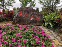 -广州市流溪河国家森林公园
