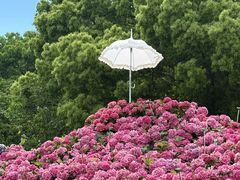 -苏州上方山国家森林公园