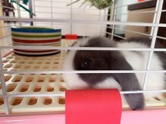 -龙猫仔乐园(惠福东路店)