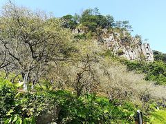 -广州市石门国家森林公园