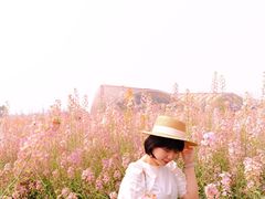 -中国天府农业博览园