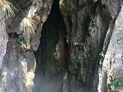 -千岛湖石林