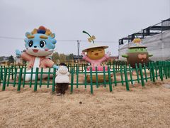 -菊园百果园