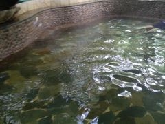 -三亚珠江南田温泉度假区