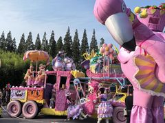 -黄海国家森林公园