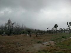 -汉长安城未央宫国家考古遗址公园