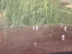 -满族八旗正宗牛肉面