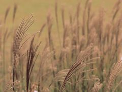 -映月湖中央公园