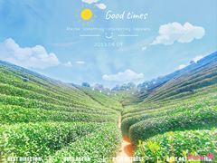 -龙坞茶村