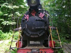 -五营红松林海景区