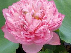 android_upload_pic-宝泉胜境旅游度假区