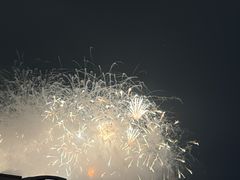 -万绿园