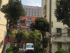 -高桥小香松糕