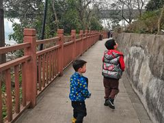 -大渡口区义渡公园