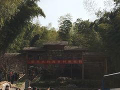 -宁波浙东大竹海景区