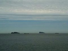 -沈家花园如皋菜(海阳路店)