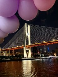 -Doris一站式游轮婚礼船东直营店(外滩店)
