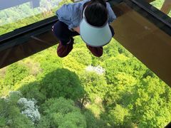 -少华山国家森林公园