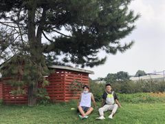 -石家庄市植物园