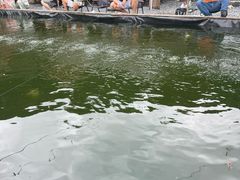 -DGE季风钓虾营地·团建·聚会