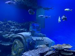 -海合安武汉极地海洋公园