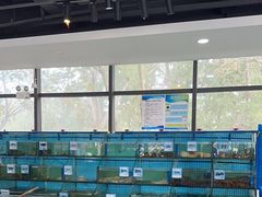 -锦里海景海鲜餐厅.三亚老字号(亚龙湾中心广场店)