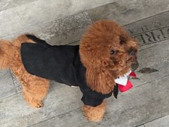 -CIAO·团建聚餐·生日派对轰趴馆(福田店)