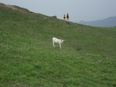 -灵山