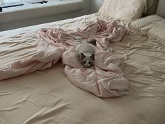 -宠颐生宠物医院·犬猫全科·皮肤科(商业街店)