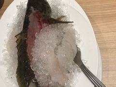 生蚝-Isla Sugbu Seafood City