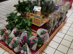 -大润发(八仙城店)