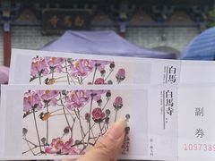-洛阳白马寺