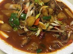 大盘鸡-马黑哥椒麻鸡(清江山水店)