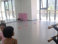 -中央芭蕾舞团·中芭艺蕾(酒仙桥明星校区)