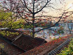 -喜洲吧·江畔老船厂·庭院餐厅(喜临院店)