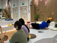 -COLOR PETS 撸猫馆·购猫·猫咖(长风大悦城店)