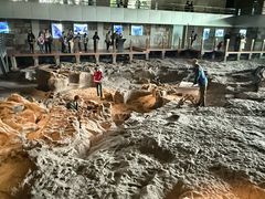 -自贡恐龙博物馆