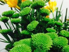 -奥美花店(天津市住房公积金管理中心河东管理部店)