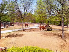 -石家庄市动物园