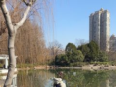 -新虹桥中心花园