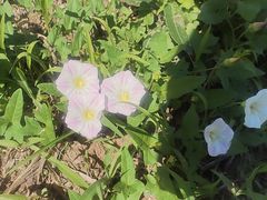 -莫子山公园