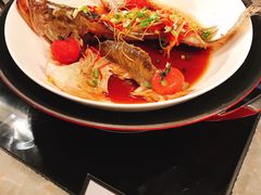 -康莱德酒店·美庭自助餐厅