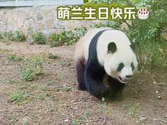 -北京动物园