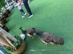 -清远熹乐谷温泉度假酒店